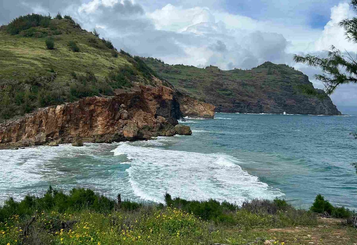 6 Reasons Why It's Important to Celebrate Earth Day