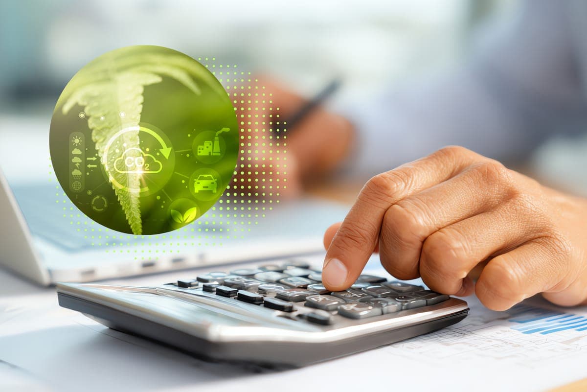 Carbon Accounting Software Companies: Leading Platforms for Sustainability Reporting