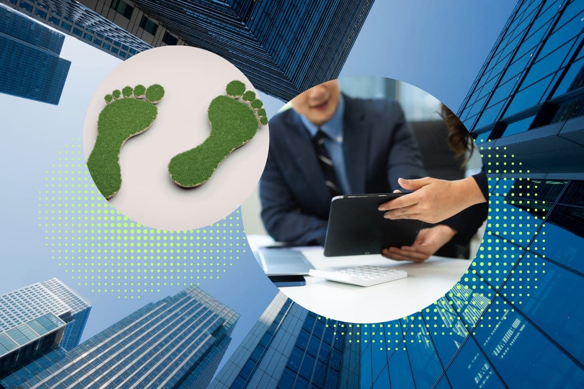 Carbon Accounting Solutions: Software, Services, and Hybrid Approaches