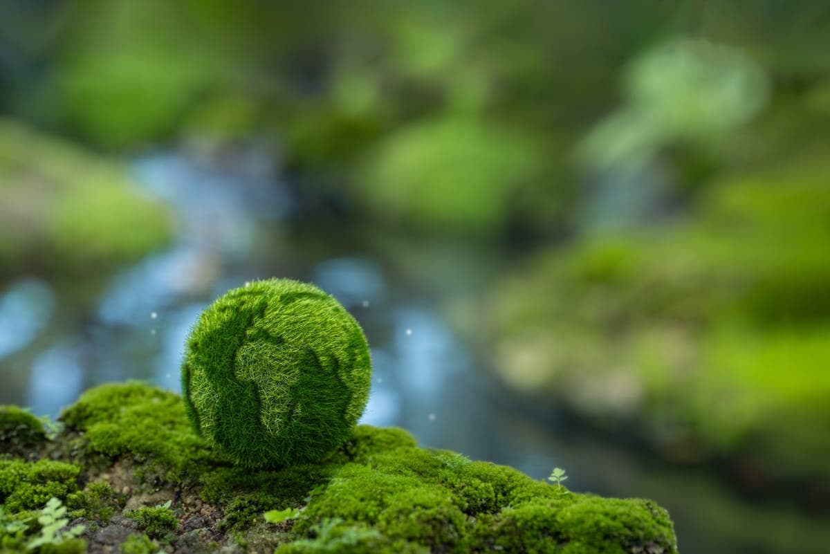 Corporate Climate Leadership (Newsletter)