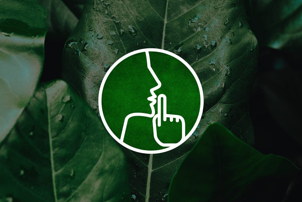 Greenhushing Explained: Why Some Companies Are Staying Quiet