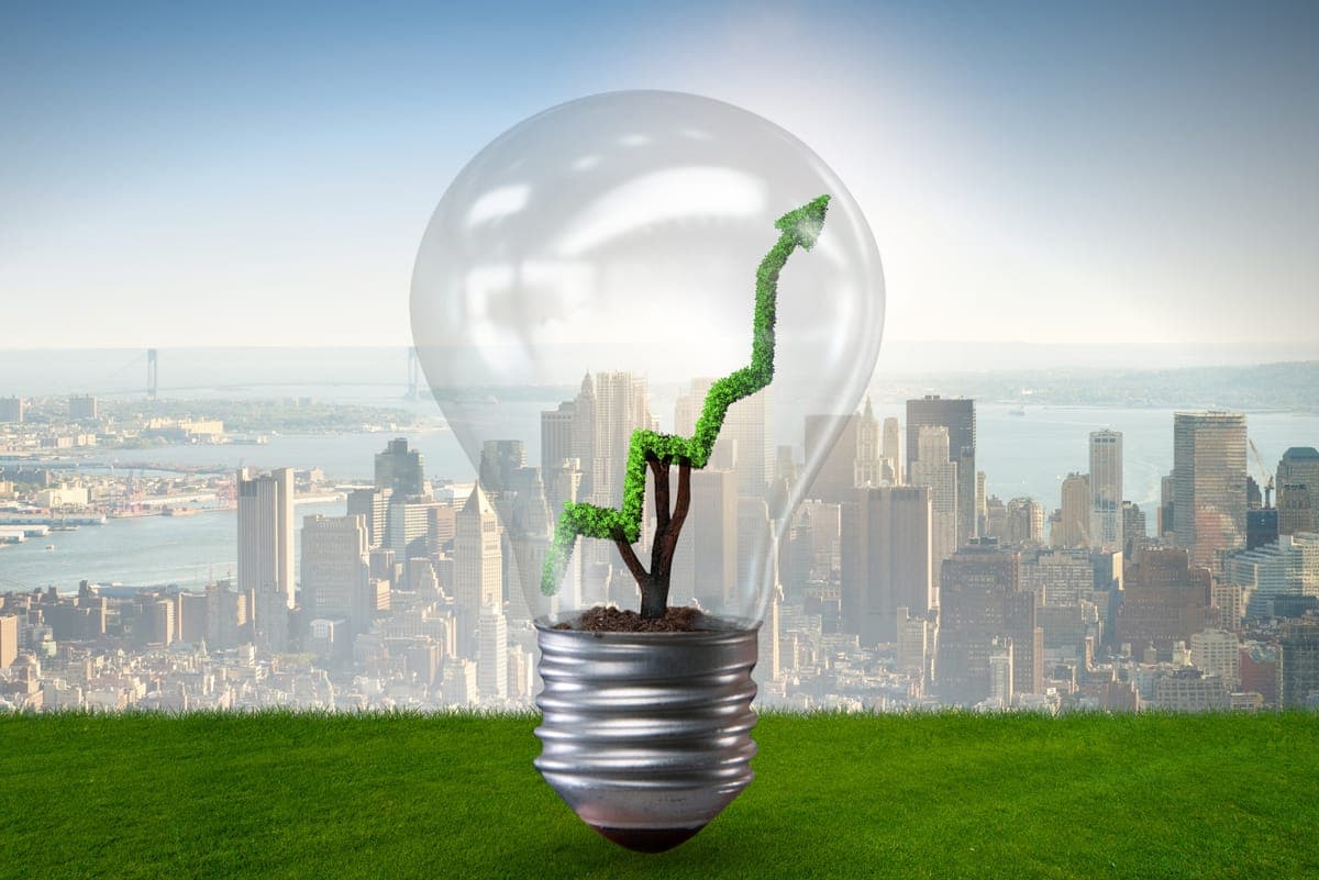 How Businesses Reduce Their Carbon Footprint (Strategies & Examples)
