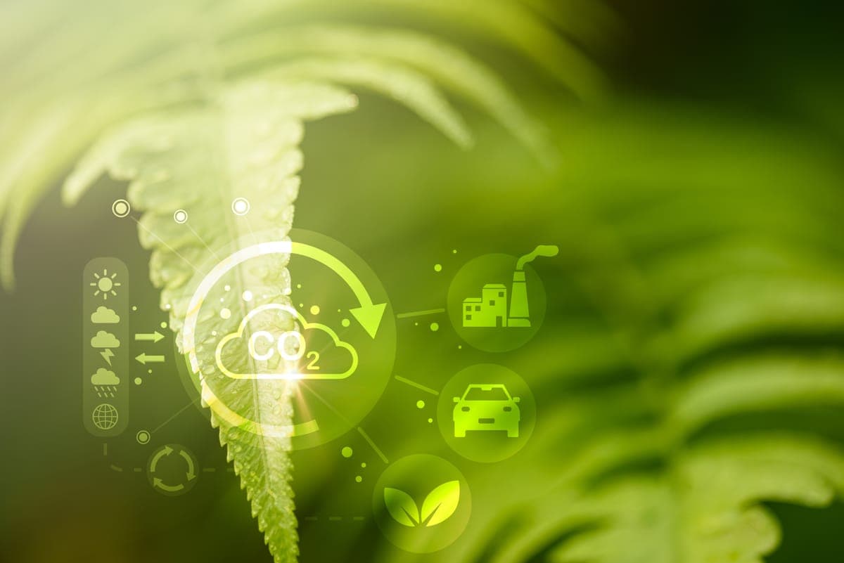 The Best Carbon Footprint Apps for Business Sustainability