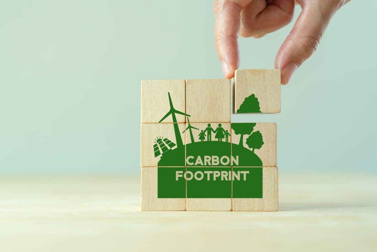 The Complete Guide to Carbon Footprint for Businesses