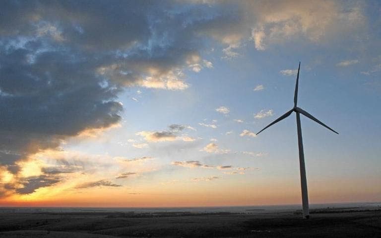 The Growing Winds of Sustainability