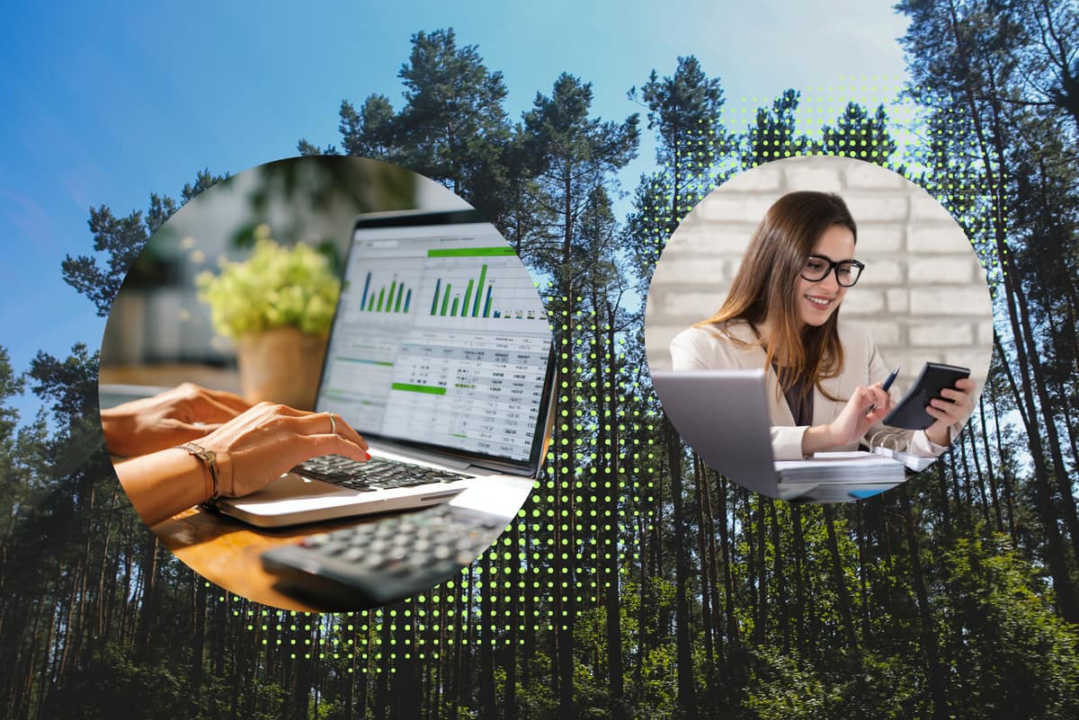 Top Carbon Management Software Platforms for Businesses