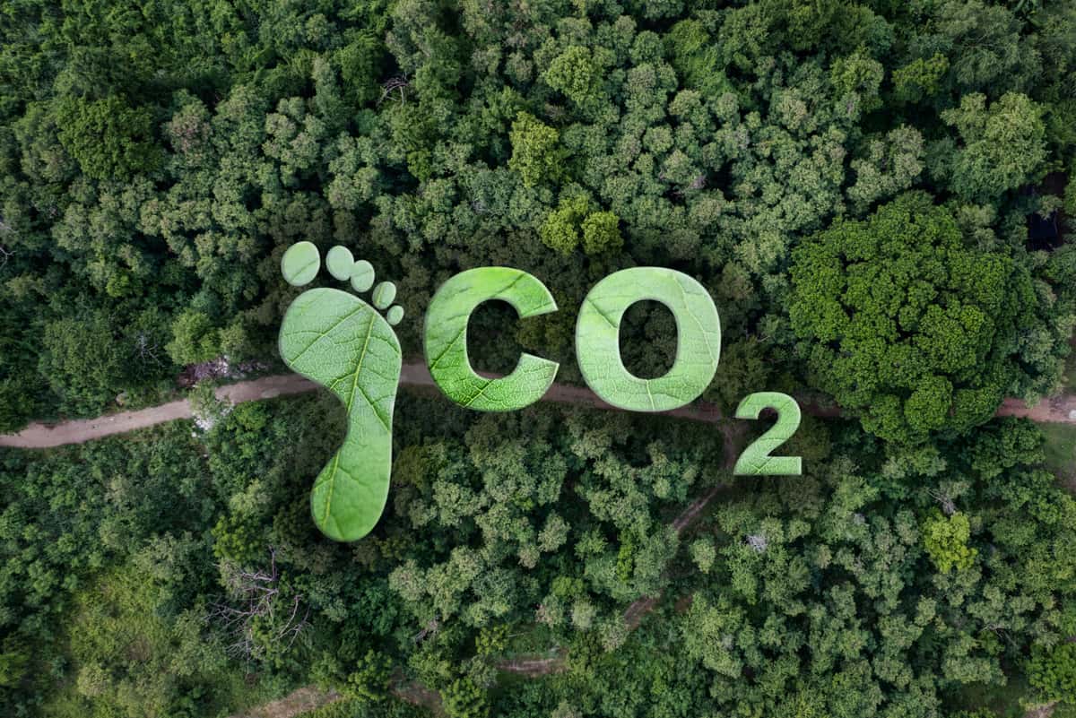 What Is a Carbon Footprint Calculator?