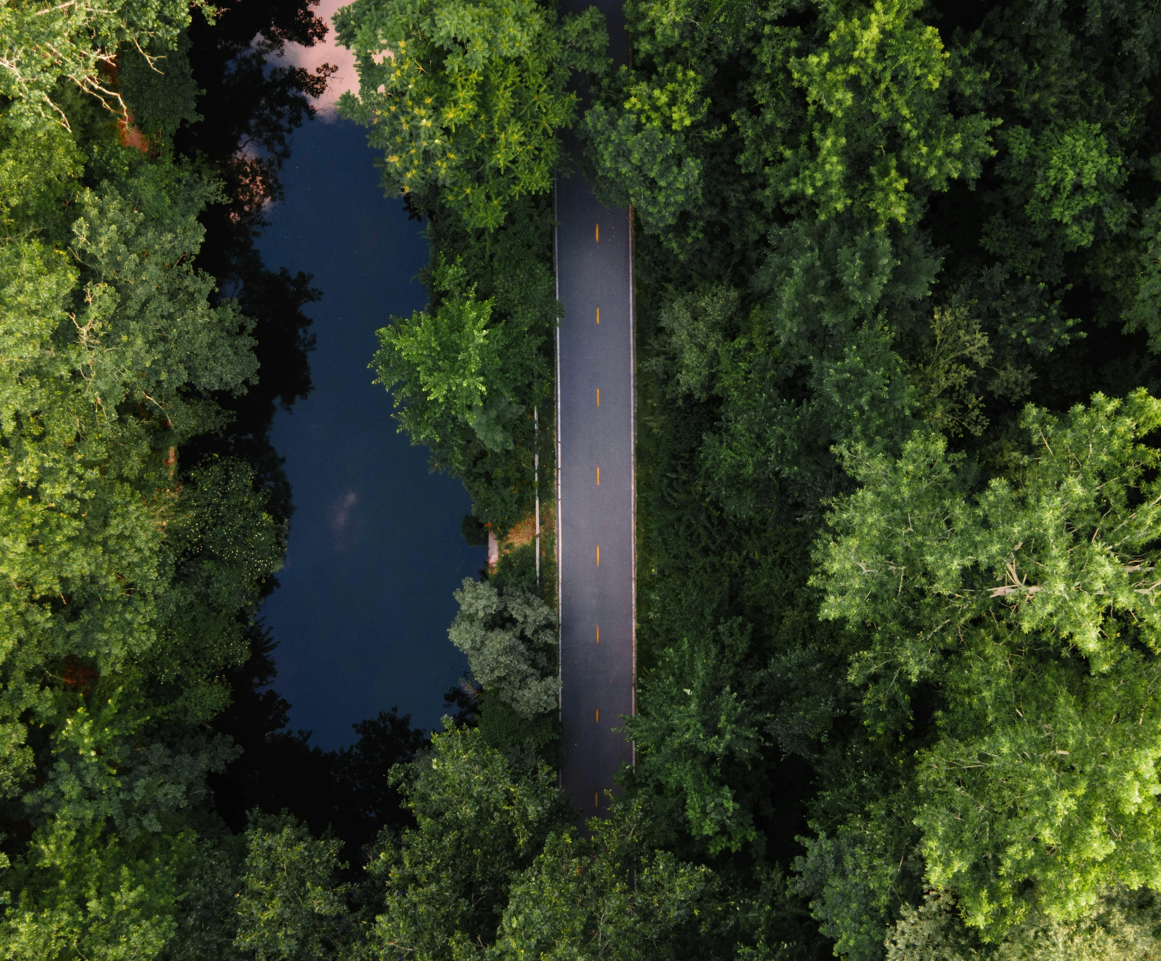 A Quick Guide to Carbon Offsets