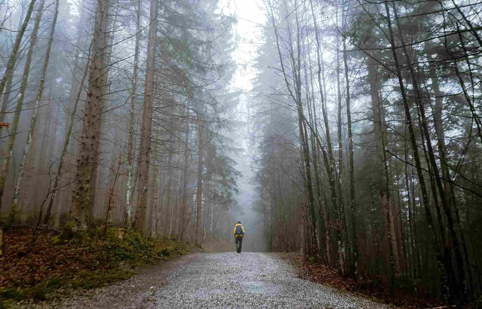 What Businesses Must Know About Climate Accounting