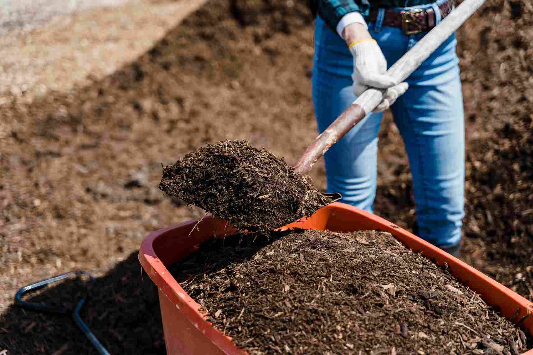 Composting: What, How, Why?