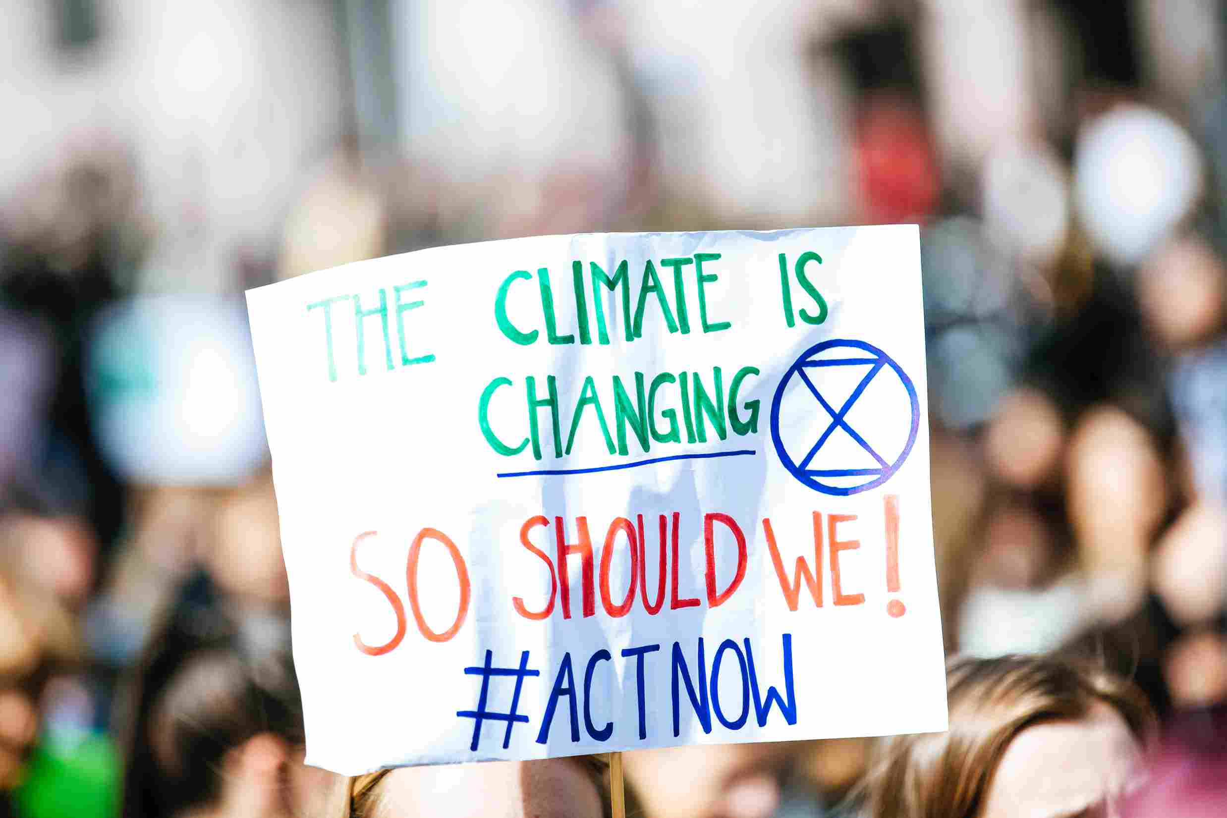 8 Compelling Reasons Why You Should Offset Your Emissions