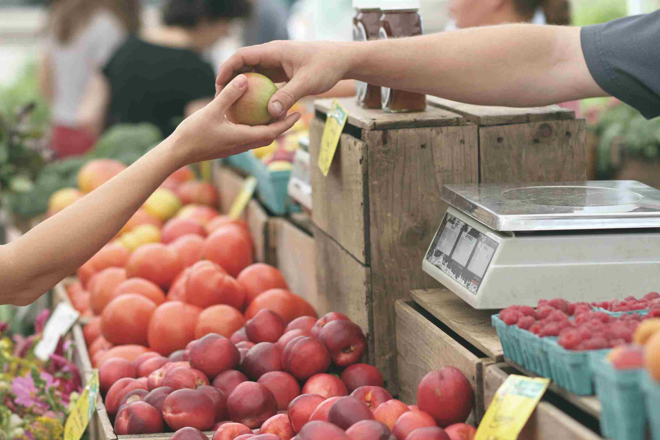 12 Ways to Reduce Your Carbon Footprint