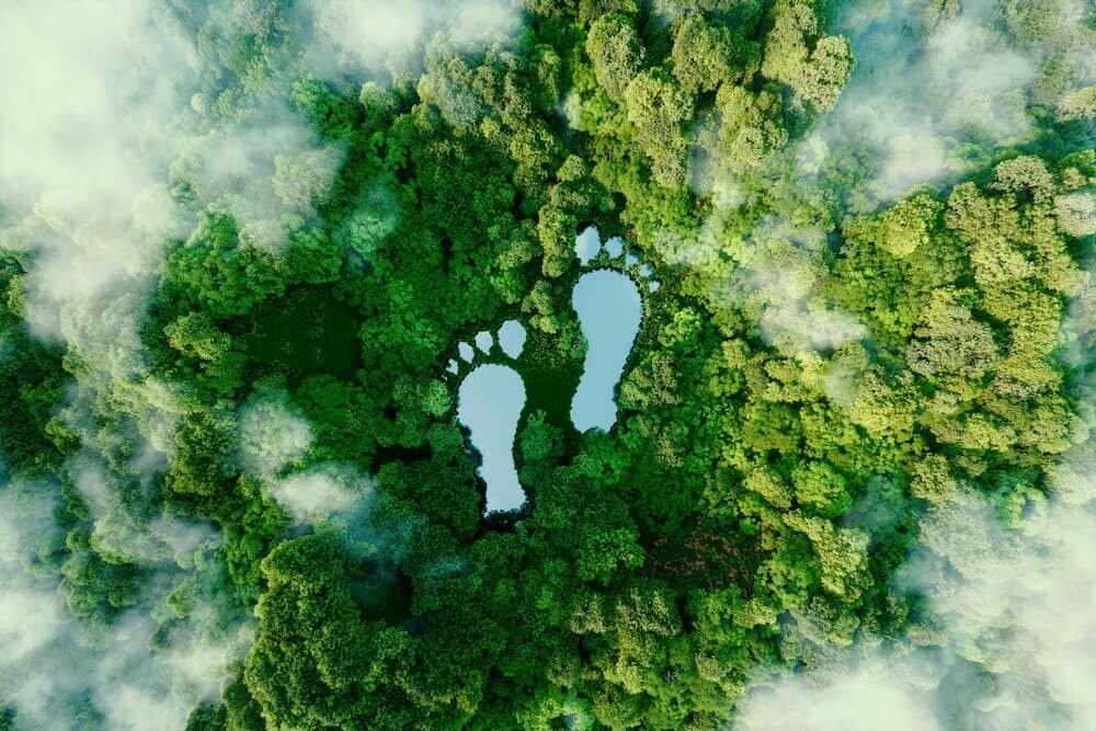 Tips for Reducing Travel Carbon Footprint for Your Company