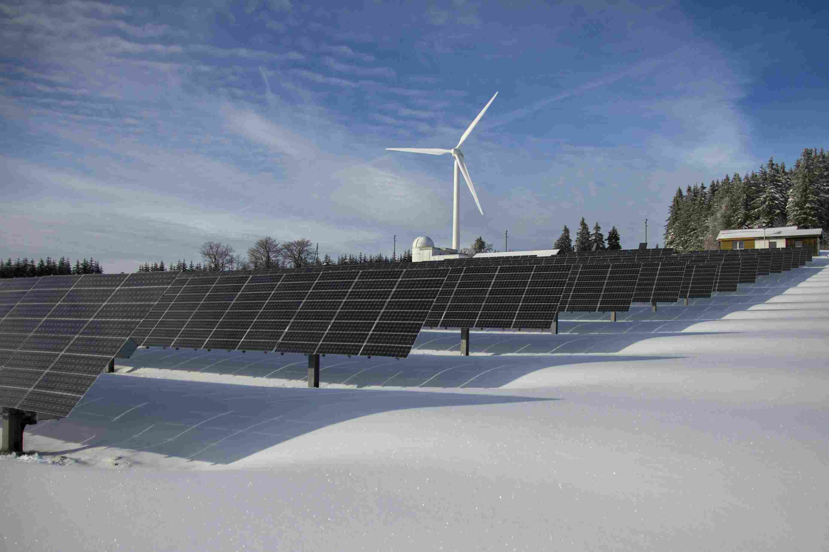 How Renewable Energy Can Help Your Business