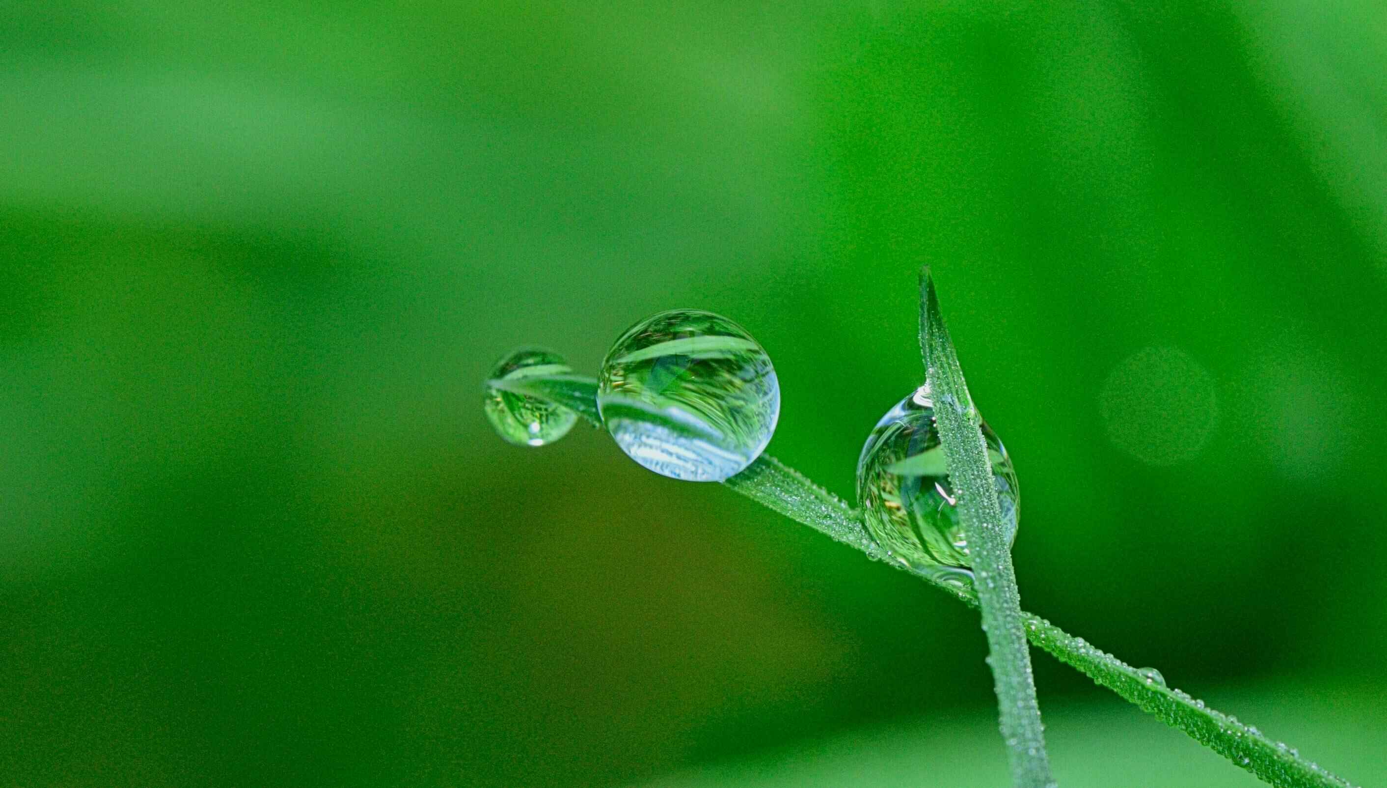 Top Strategies for Enhancing SMB Supply Chain Sustainability