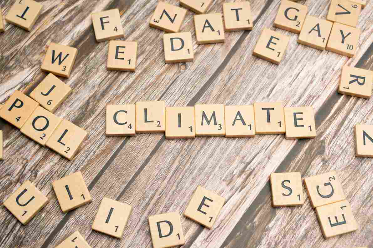 Adapting to Change: What Businesses Need to Know About the Latest Climate Policies