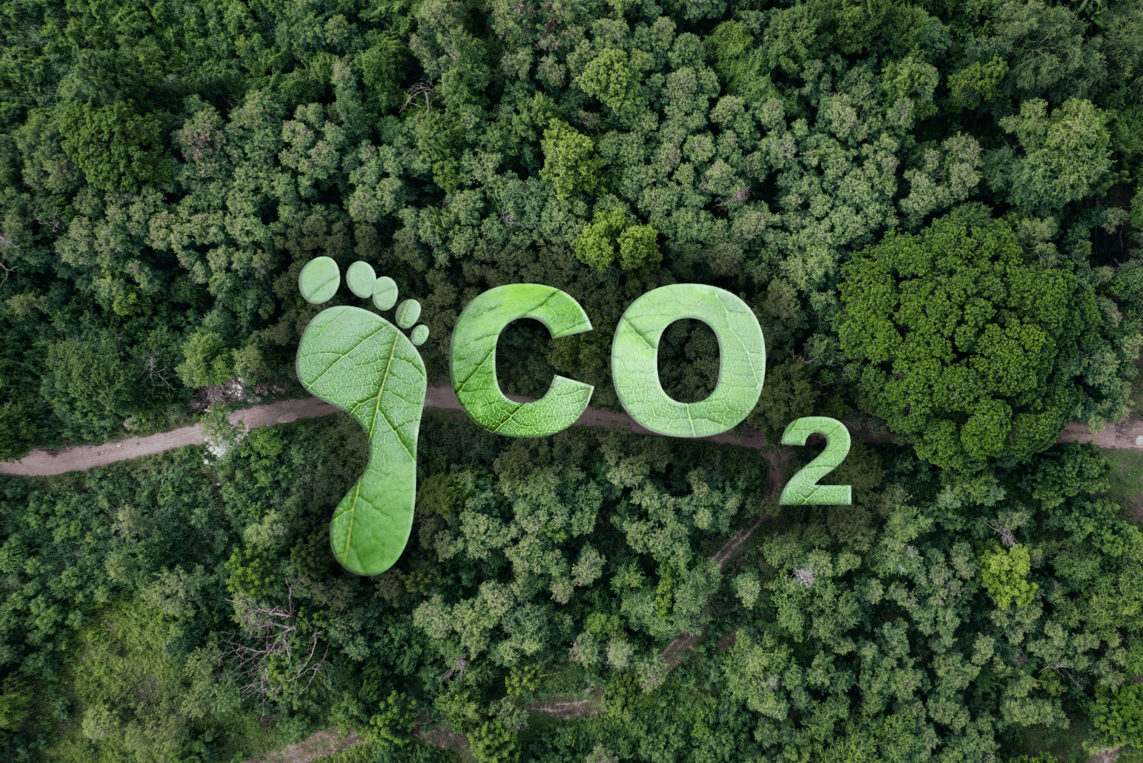 What Is a Carbon Footprint Calculator?