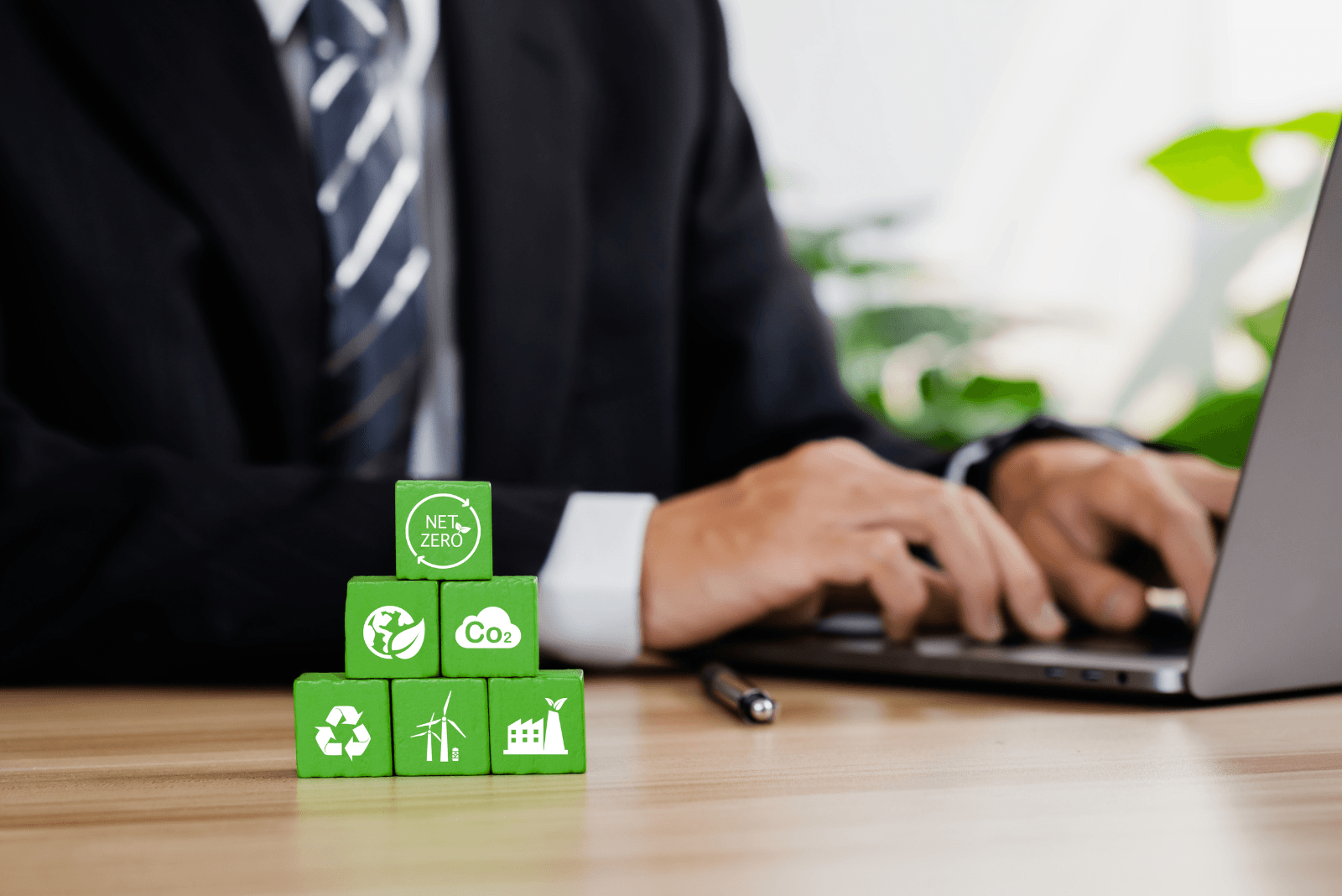 What It Means to Be a Carbon Neutral Company
