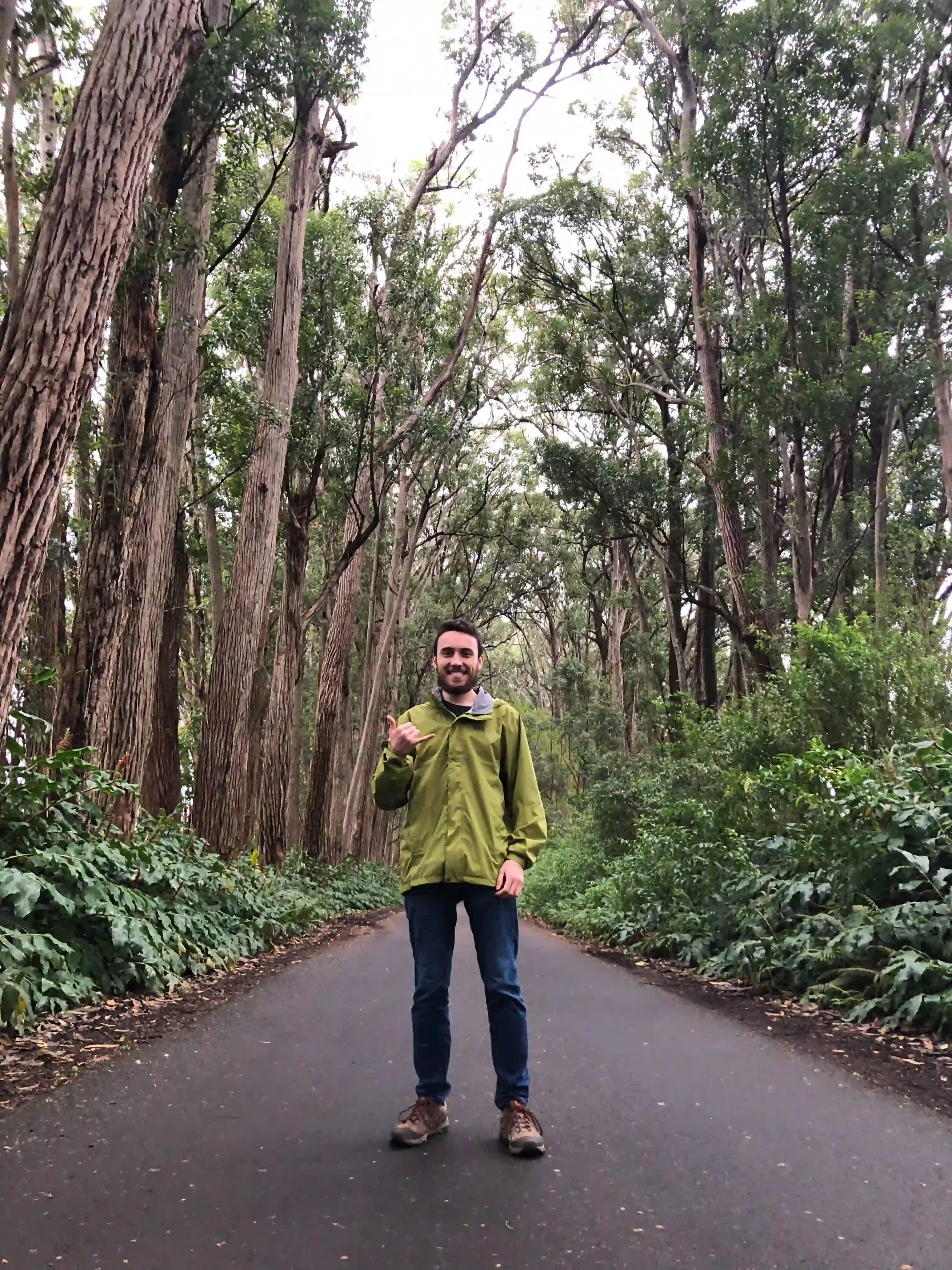 A man standing on a road in the middle of a forest