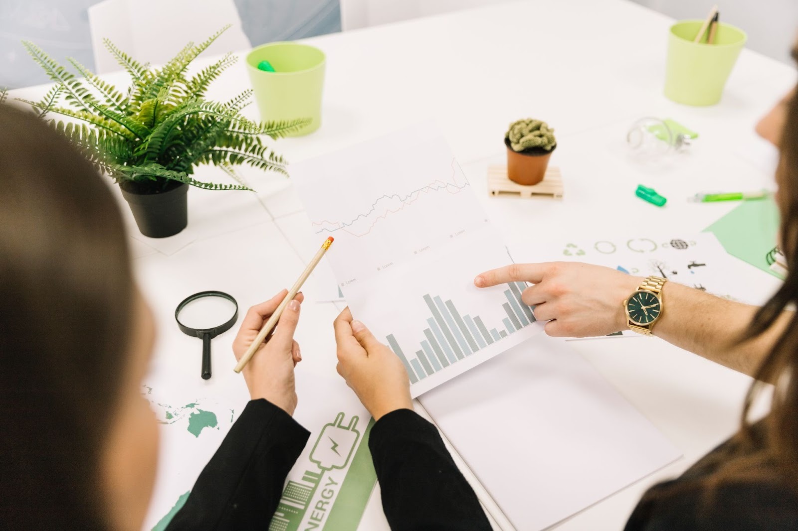 Sustainability experts analyzing data